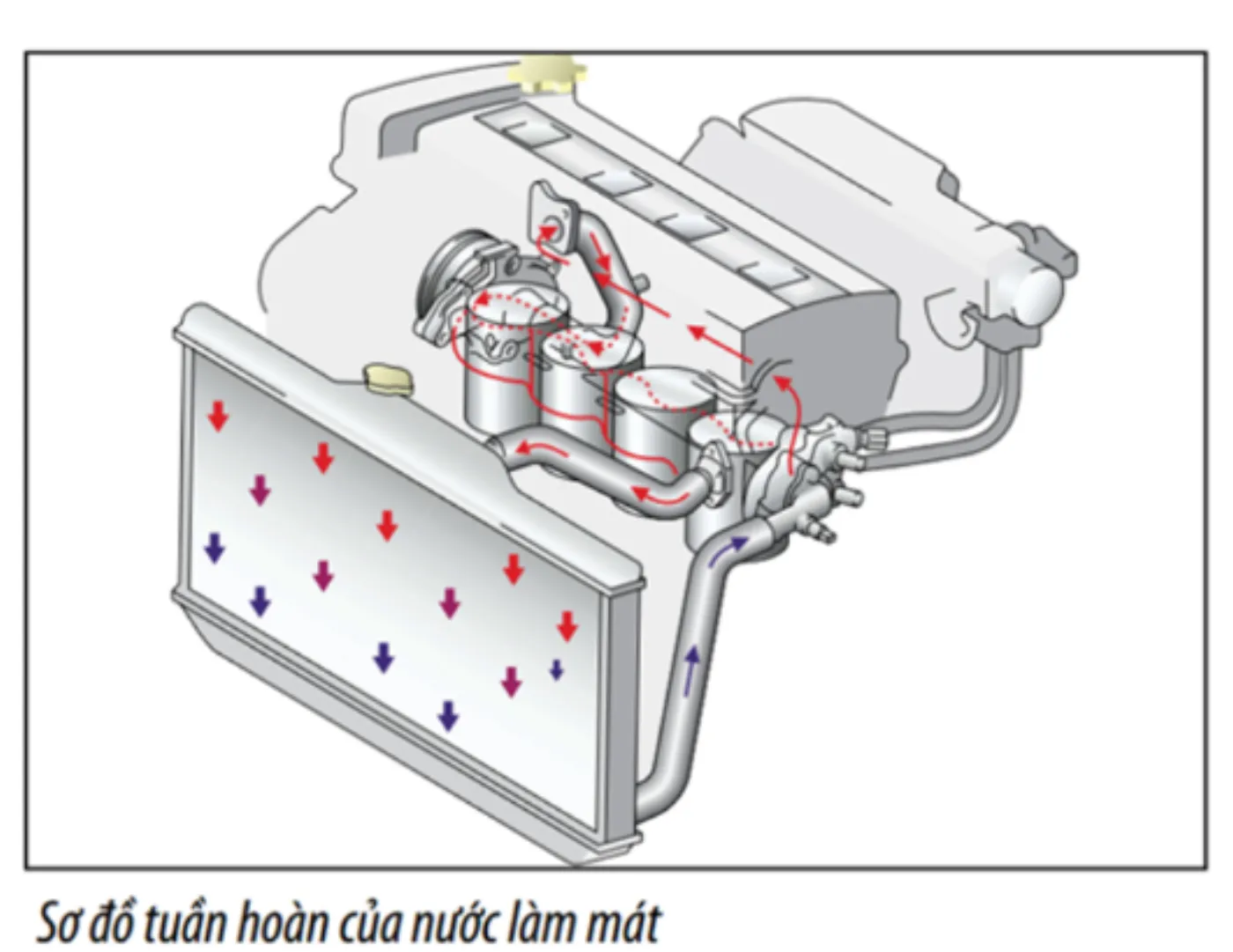 Chăm sóc & làm đẹp xe